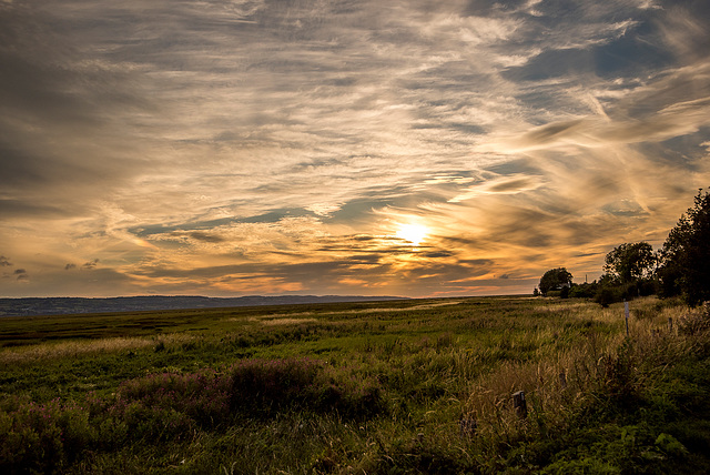 Burton Evening photos6