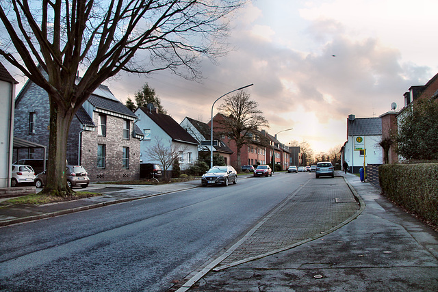 Bülsestraße (Gelsenkirchen-Scholven) / 24.12.2022