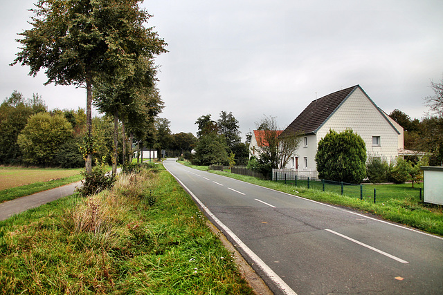 Kamener Straße (Bönen) / 9.10.2023