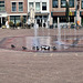 Water & birds