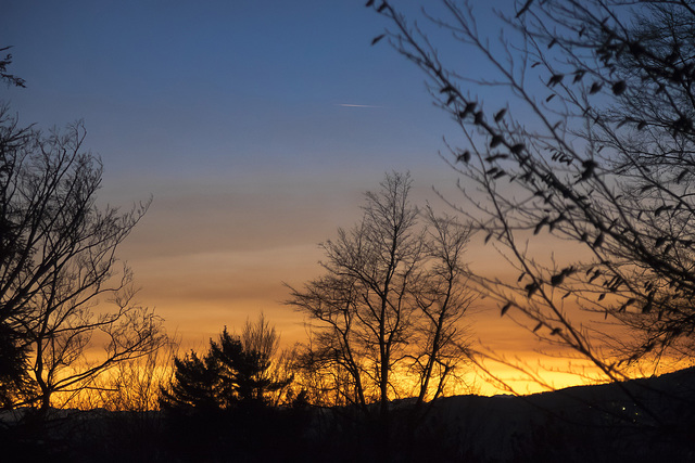 The fire beyond the trees