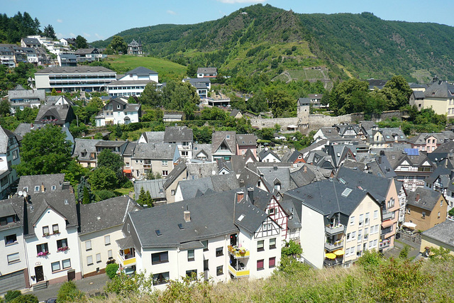 View Over Cochem