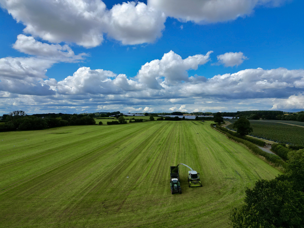 Silage Time