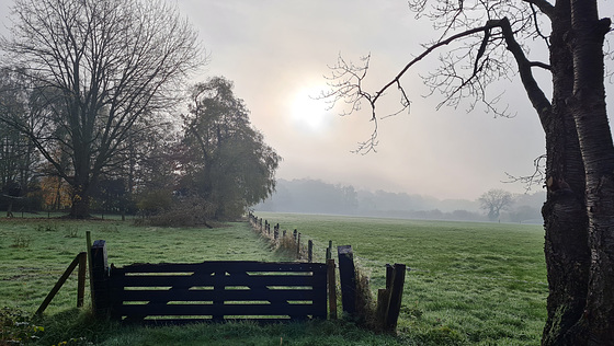 gate to the sawmill