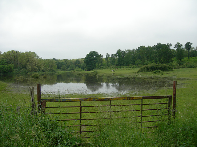 Histoires d'eau.(2)