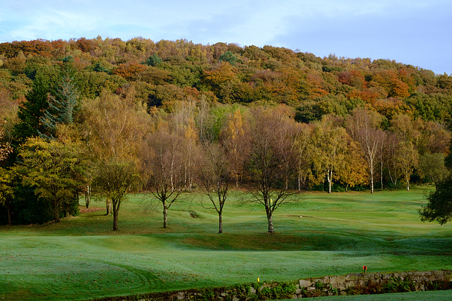 Shire Hill Wood in Autumn