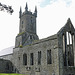 Ennis Friary (Explored)