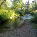 Picturesque creek / Un ruisseau pittoresque