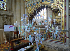 Peace Prayer Tree in Exeter Cathdeal