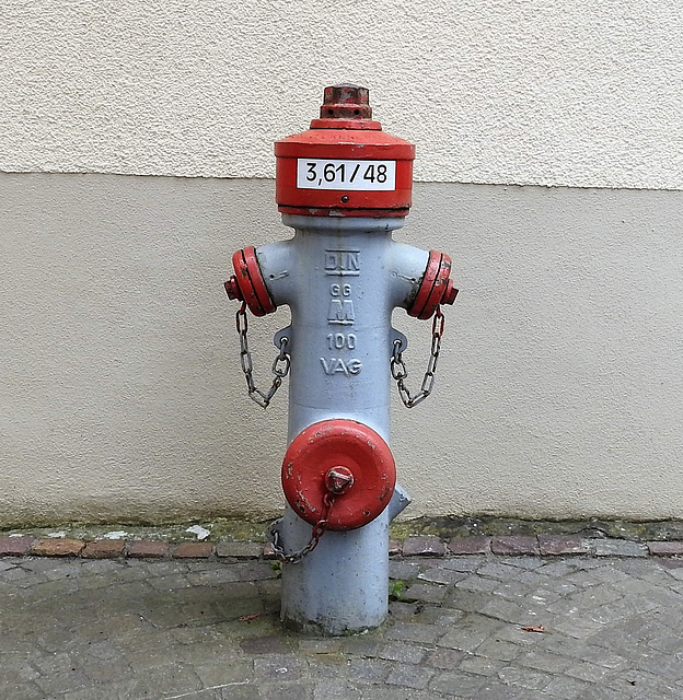 Hydrant in Meersburg