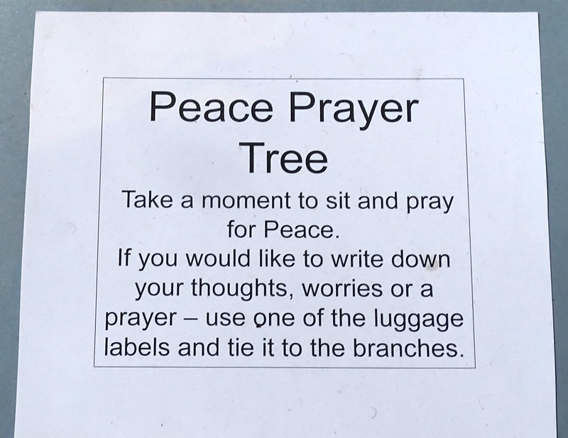 Exeter Cathedral prayer tree notice