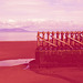maryport 25959628900 o