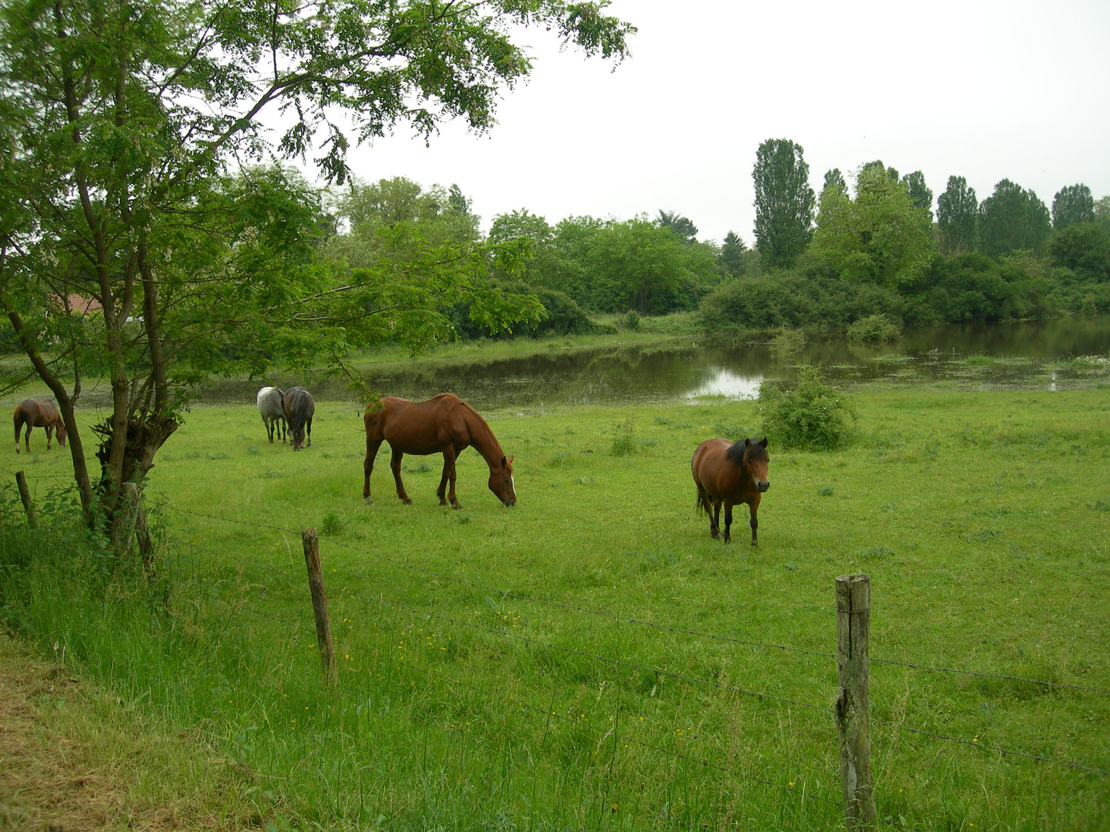 Histoires d'eau.(4)