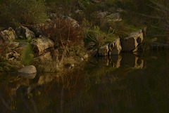 Ribeira do Vascão