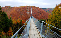 DE - Mörsdorf - Geierlay bridge