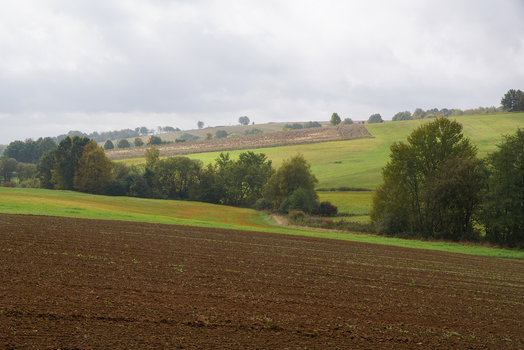 A Touch of Autumn: Landblick