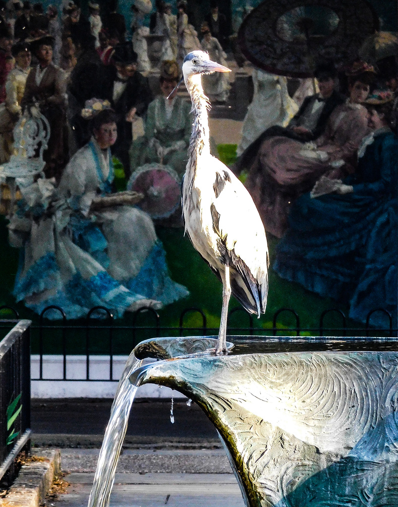 Heron and fresco