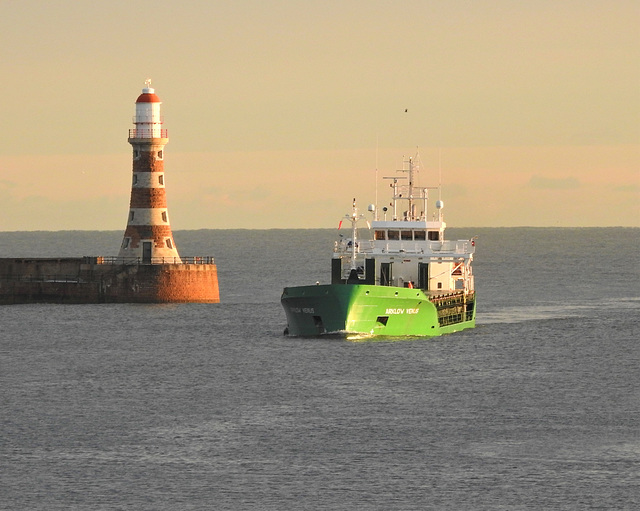 Arklow Venus