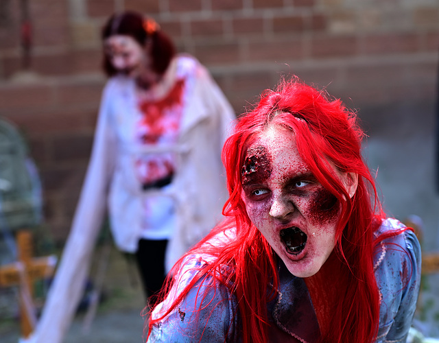 DSC 1148 1 DSC 1148 1