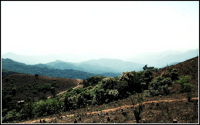 A view from the mount ~ Talakevari