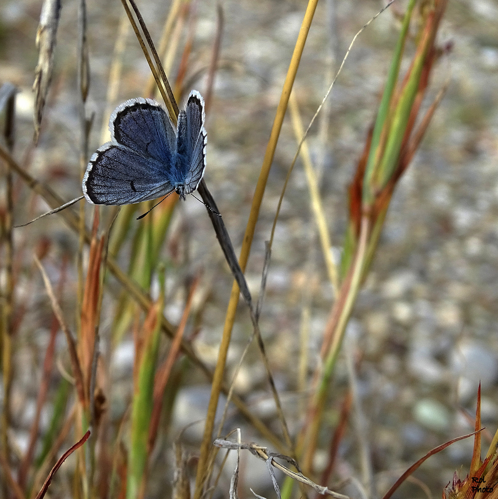 Pour tous, du ciel bleu pour toute la semaine