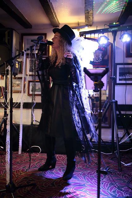 EOS 6D Peter Harriman 21 35 28 08793 StevieNicks unproc