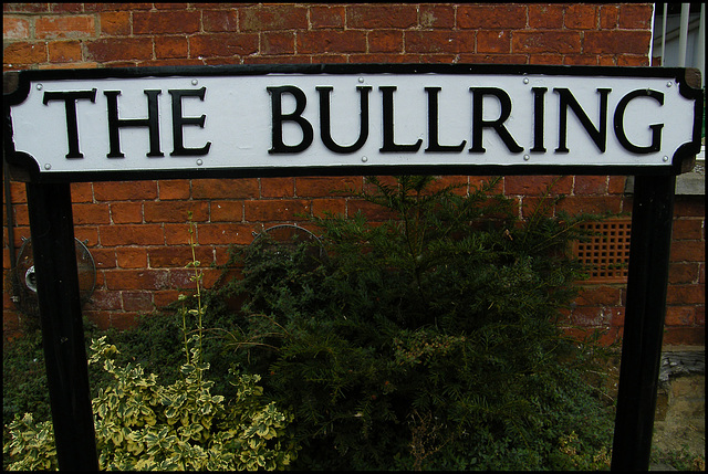 The Bullring