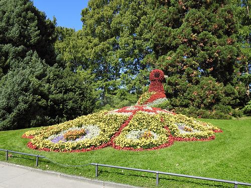 Mainau-Pfau