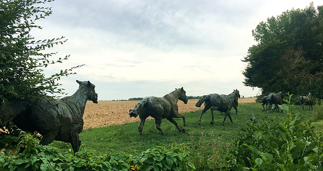 La course de chevaux