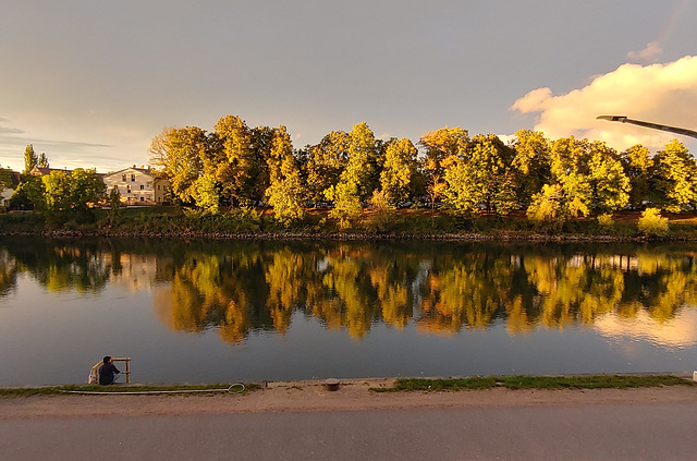 Danube Reflex