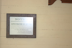 IMG 4991