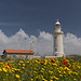 Lighthouse and flowers