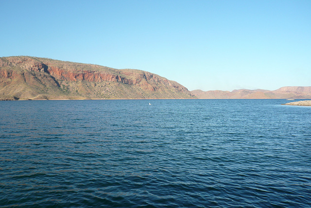 Pelican On Lake Argyle