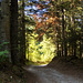 Automne dans le Vercors