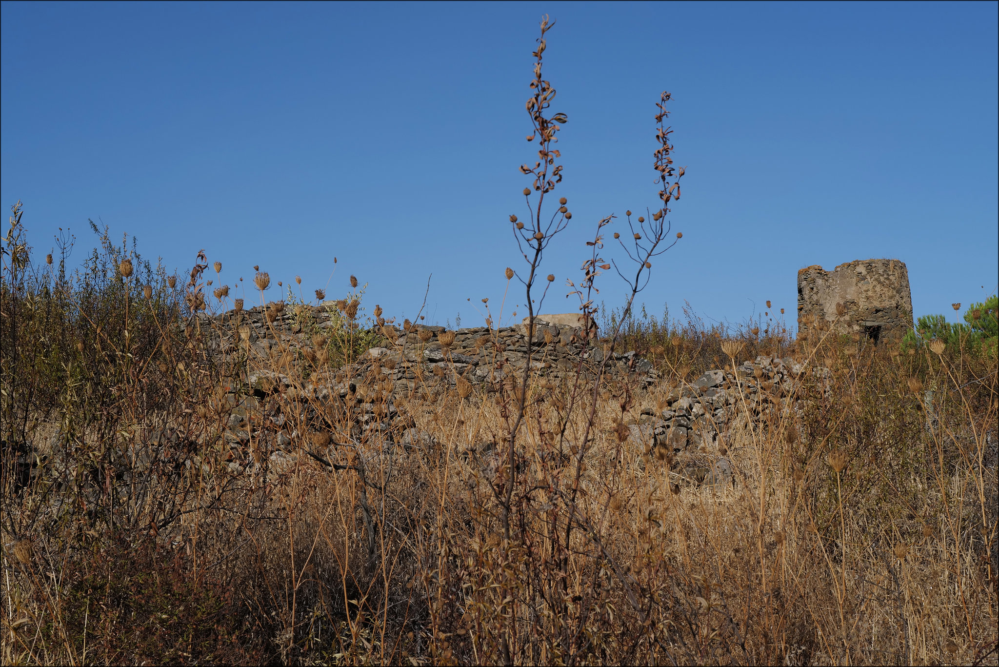 Penedos, the ruined mill L1004795