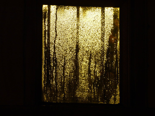 Luz y humedad