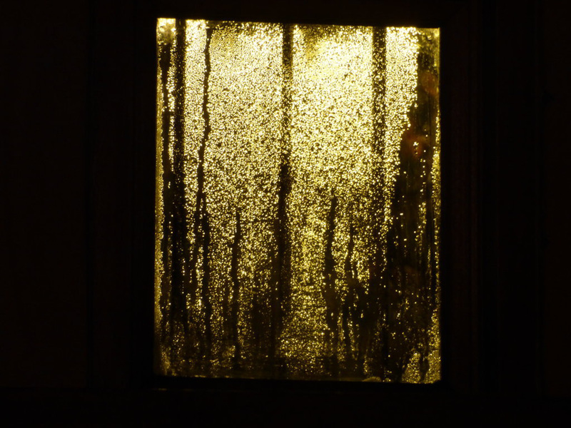 Luz y humedad