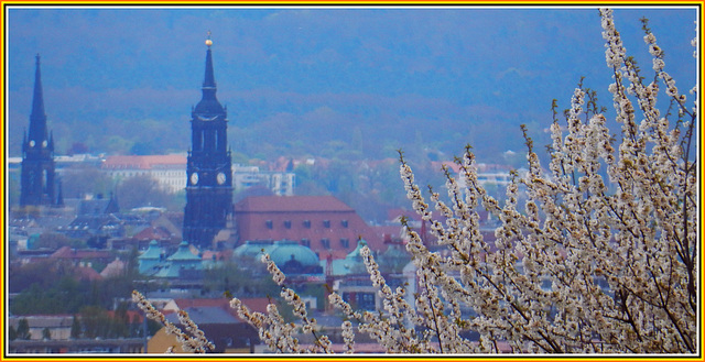 Dresden im Frühlingsdunst