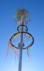 Maibaum auf dem Dresdener Altmarkt 2018