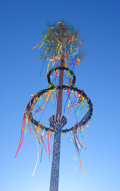 Maibaum auf dem Dresdener Altmarkt 2018