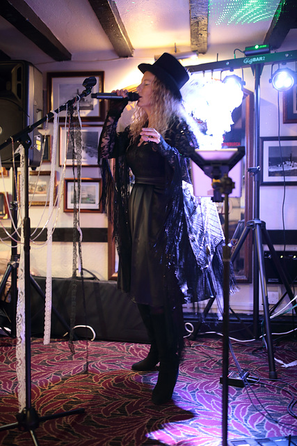 EOS 6D Peter Harriman 21 35 27 08791 StevieNicks unproc