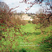 Chepstow Castle seen from Piercefield Park (Scan from 1991)