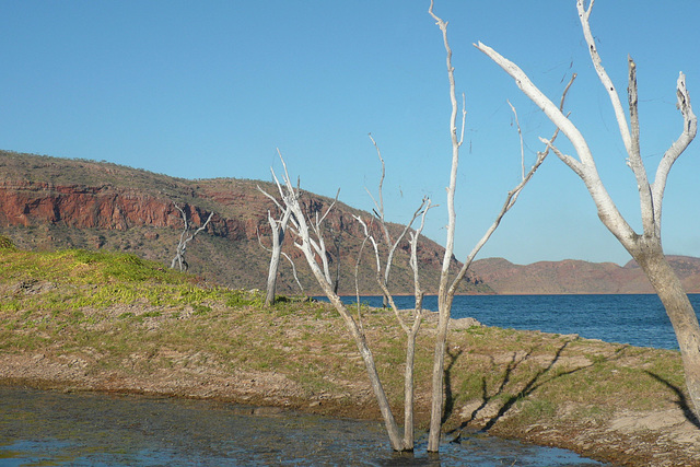 Lake Argyle