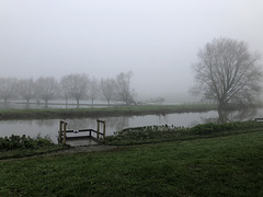 Fog and Flood