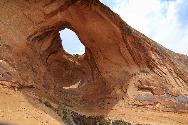 Bowtie Arch