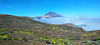 le volcan Tiede