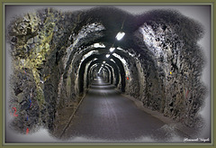 Tunnel am Stausee im Calveisensee