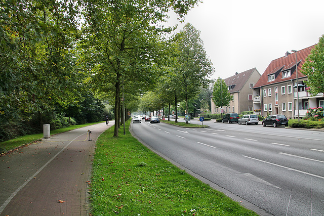 Holsterhauser Straße (Herne-Holsterhausen) / 26.08.2017