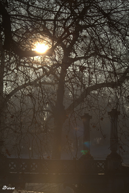 Parc du musée Condé - Chantilly