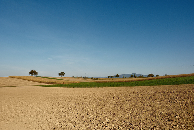 Immer noch Sommer...im Oktober